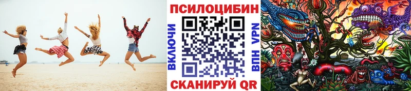 наркота  Артём  Псилоцибиновые грибы MAGIC MUSHROOMS 